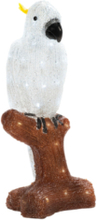 Papegoja LED höjd 47 cm