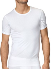 Calida Evolution T-Shirt 14661