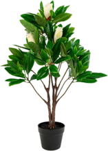 Krukväxt Magnolia, konstgjord, 90 cm
