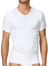 Calida Cotton 1 Herr T-Shirt V 14315 * Actie *