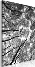 Canvas Tavla - High Trees Vertical - 40x60