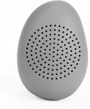 Micro Pebble Speaker