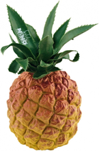 Ananas shaker, Nino 595
