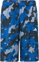 Train Essentials Seasonal Aeroready Allover Print Regular-Fit Shorts Sport Shorts Sport Shorts Blue Adidas Sportswear