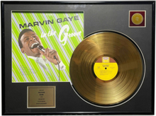 Marvin Gaye - In The Groove 24KT Gouden Plaat LP