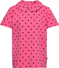 Polka Dot Ss Collar Tee Tops T-shirts Short-sleeved Pink Mini Rodini
