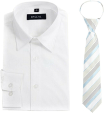 Hvit skjorte med blått slips