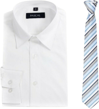 Hvit skjorte med slips blå