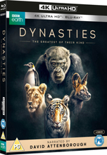Dynasties - 4K Ultra HD