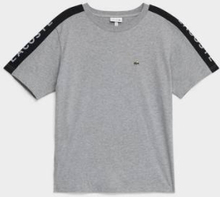 Lacoste T-Shirt Stripe T-Shirt Grå