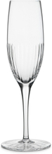 Magnor ALBA Fine Line champagneglass 25 cl