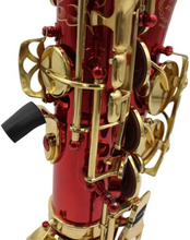 Musikinstrument Wartung Reinigung Pflege Set für Saxophon Klarinette Flöte inklusive Mundstück Pinsel Reinigungstuch Daumenauflage Reed Case Mini Schraubendreher
