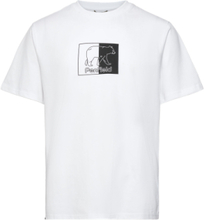 Inverted Bear T-Shirt T-shirts Short-sleeved Hvit Penfield*Betinget Tilbud