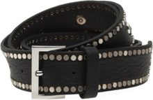 Starlight Leather Designers Belts Black Zadig & Voltaire