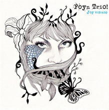 Foyn Trio - Joy Visible