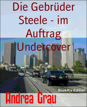 Die Gebrüder Steele - im Auftrag Undercover