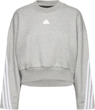Future Icons 3-Stripes Sweatshirt Sweat-shirt Genser Grå Adidas Sportswear*Betinget Tilbud