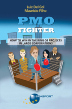 PMO Fighter - How to Win in The Ring of Projects in Large Corporations