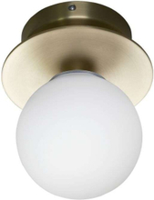 Globen Lighting - Art Deco 24 Wand-/Deckenleuchte IP44 Brushed Brass Globen Lighting