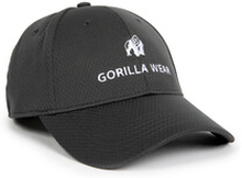 Bristol Fitted Cap, anthracite, Gorilla Wear