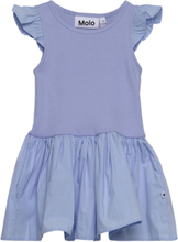 Cimi Dresses & Skirts Dresses Casual Dresses Short-sleeved Casual Dresses Blue Molo