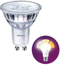 Philips LED GU10 lamp 4,5 Watt Philips SceneSwitch DIM