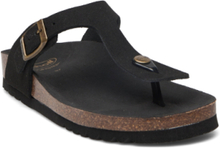 Sl Nicole Suede Black Shoes Summer Shoes Sandals Flip Flops Black Scholl