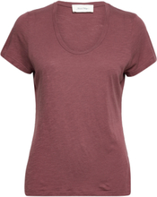 Jacksonville T-shirts & Tops Short-sleeved Burgunder American Vintage*Betinget Tilbud
