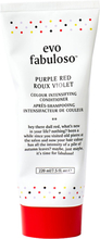 Evo Tube Colour Treatment Purple Red - 220 ml