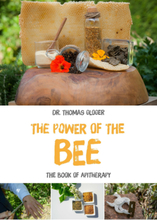 The Power of the Bee