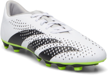 Predator Accuracy.4 Fxg Shoes Sport Shoes Football Boots Hvit Adidas Performance*Betinget Tilbud