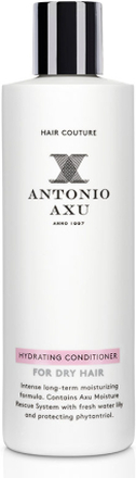 Antonio Axu Hydrating Conditioner For Dry Hair 250ml