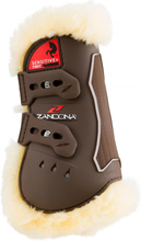 Zandona Carbon Air Sensitive + Pony gamacher