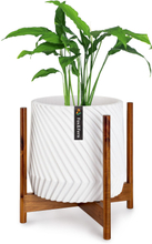 Zeist Växthållare 2 höjder kan kombineras placerings-design naturlig