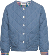 Henny Outerwear Jackets & Coats Quilted Jackets Multi/patterned Molo