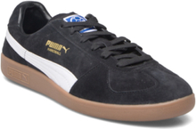 Puma Handball Shoes Sport Shoes Training Shoes Svart PUMA*Betinget Tilbud