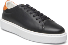 "Alex 2.0 Low-top Sneakers Black Playboy Footwear"