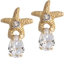 Mini Sea Star øreringer krystall