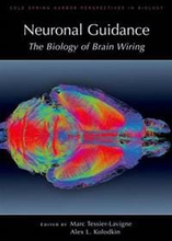 Neuronal Guidance: The Biology of Brain Wiring