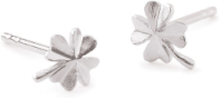 Clover Earsticks 6 Mm Accessories Jewellery Earrings Studs Sølv Pernille Corydon*Betinget Tilbud