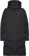 "Modern Padded Coat Foret Jakke Black Calvin Klein"
