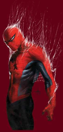 Marvel Spider-man Web Wrap Men's T-Shirt - Burgundy - S