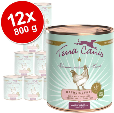 Sparpaket Terra Canis getreidefrei 12 x 800 g - Ente mit Kürbis, Erdbeeren & Holunder