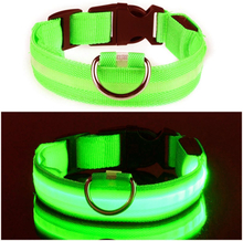 LED Hundhalsband - Grön - Small