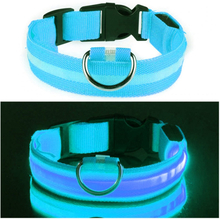 LED Hundhalsband - Blå - Small