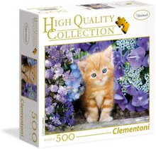 500 pcs High Quality Collection SQUARE Ginger Cat