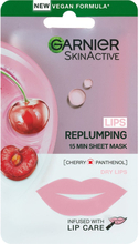 Garnier Lips Replumping 15 min Sheet Mask Cherry 5 g