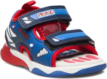 Pah 39560 Shoes Summer Shoes Sandals Multi/mønstret Primigi*Betinget Tilbud