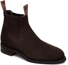 Wentworth G-Last Suede Chocolate Designers Boots Chelsea Boots Brown R.M. Williams