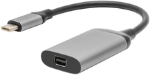 Luxorparts Adapter USB-C till Mini-displayport